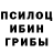 Псилоцибиновые грибы Magic Shrooms Nodirbek Tojiyev
