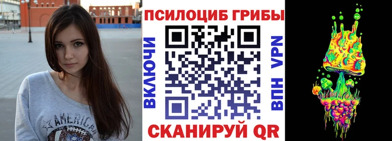 где найти   Осташков  кракен зеркало  Галлюциногенные грибы мицелий 